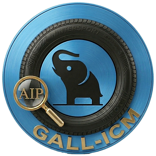 GALL-ICM Logo